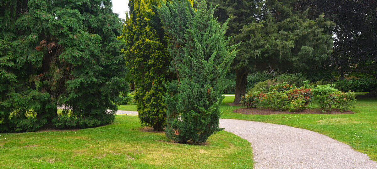 Progettare un giardino|Progettare un giardino