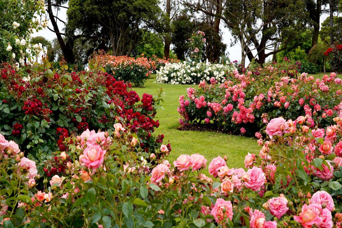 ristrutturare giardino