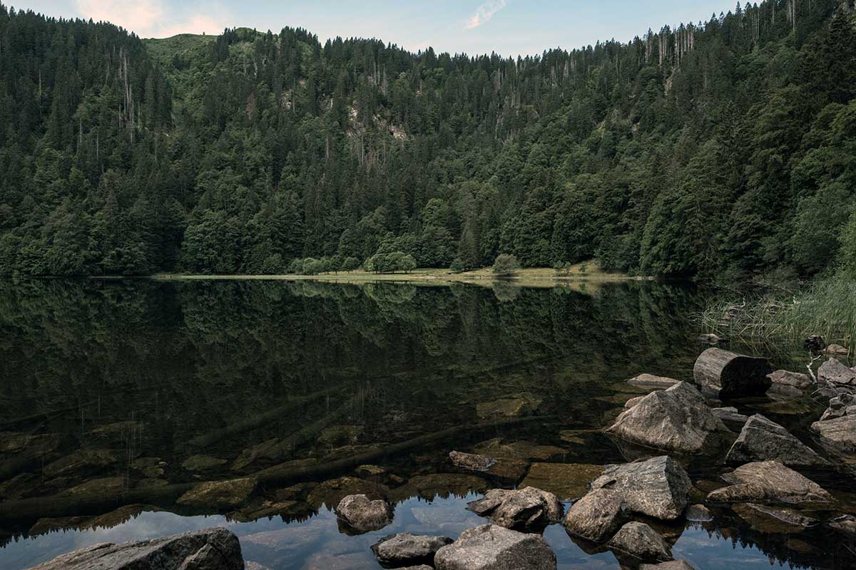 Visitare la foresta nera delle fiabe dei fratelli Grimm: tra natura e mistero