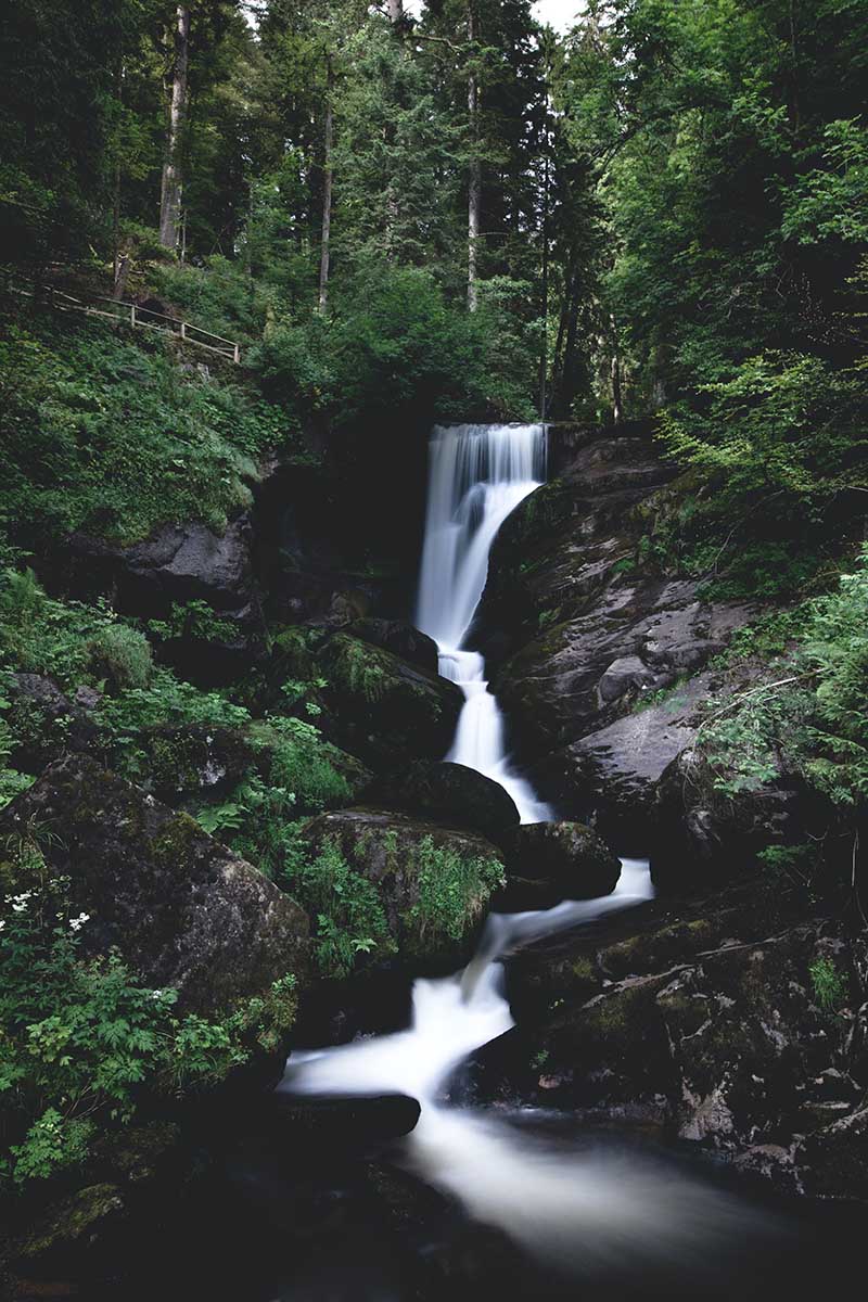 Visitare la foresta nera delle fiabe dei fratelli Grimm: tra natura e mistero