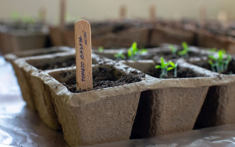 L’orto in casa diventa sostenibile utilizzando materiali di riciclo