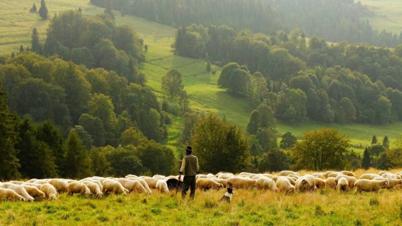 Lavoratori stranieri, integrazione e forza lavoro