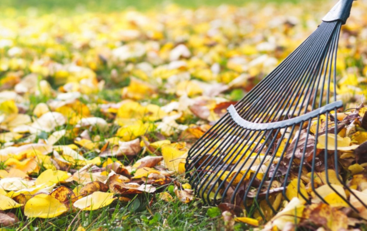 Lavori in giardino nel mese di ottobre