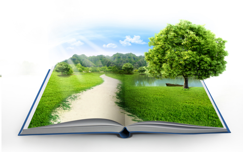 Libri green, quali scegliere per una vita di benessere all’insegna della natura