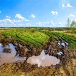 agronomi pioggia|Energia dalla Pioggia