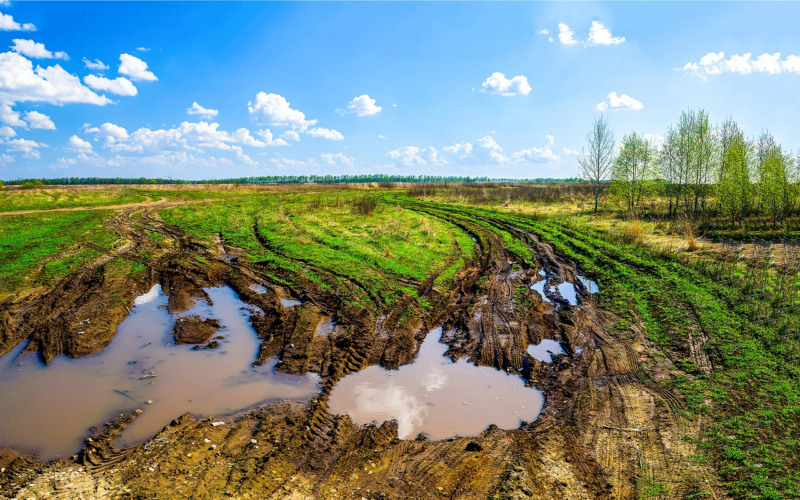 Maltempo: dopo le piogge gli agronomi pensano alla cura del territorio