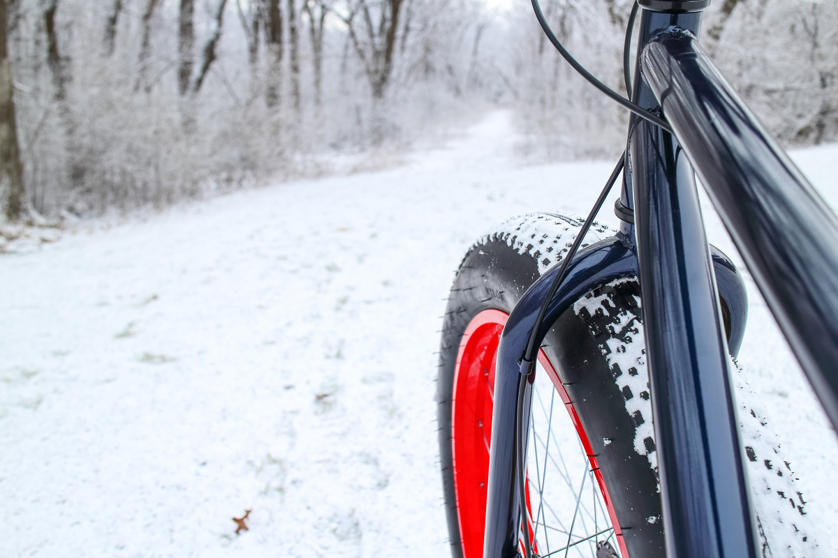 Bici in inverno