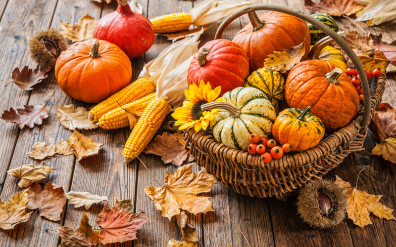 Stare bene in autunno: sai cosa mangiare?