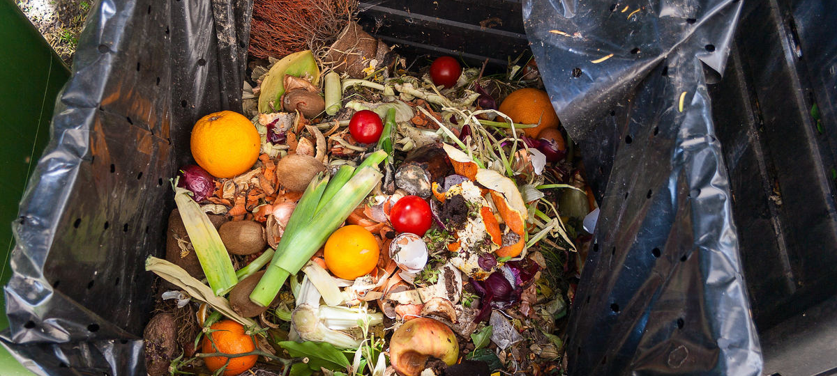 Milano costruisce degli hub di raccolta|sprechi alimentari