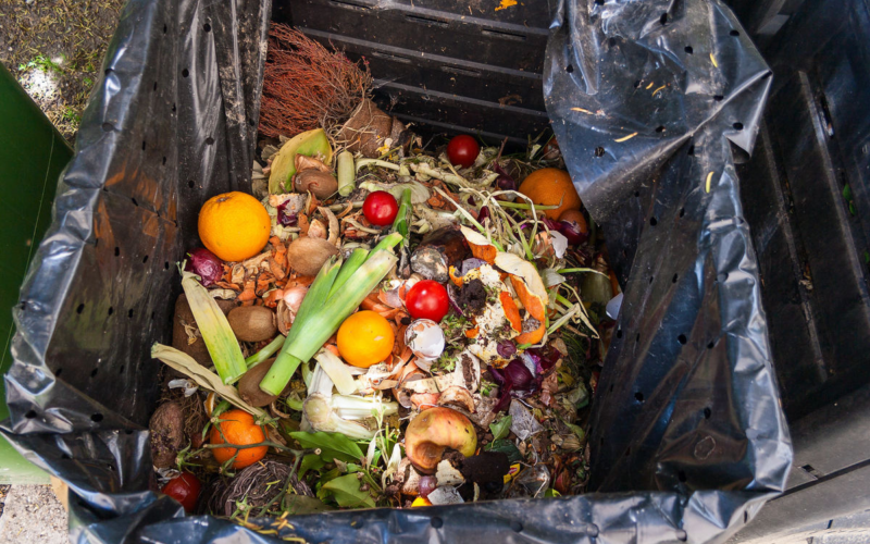 Milano, lotta allo spreco di cibo con la raccolta degli alimenti