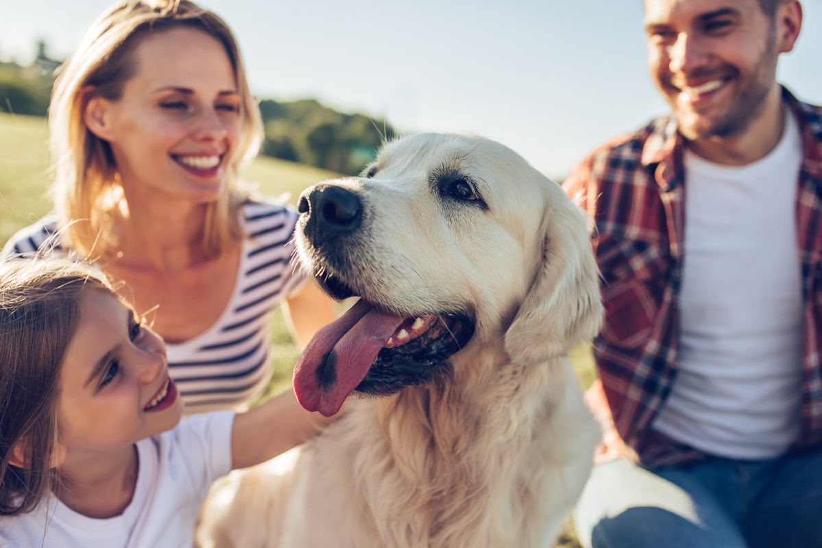 animali domestici in Italia