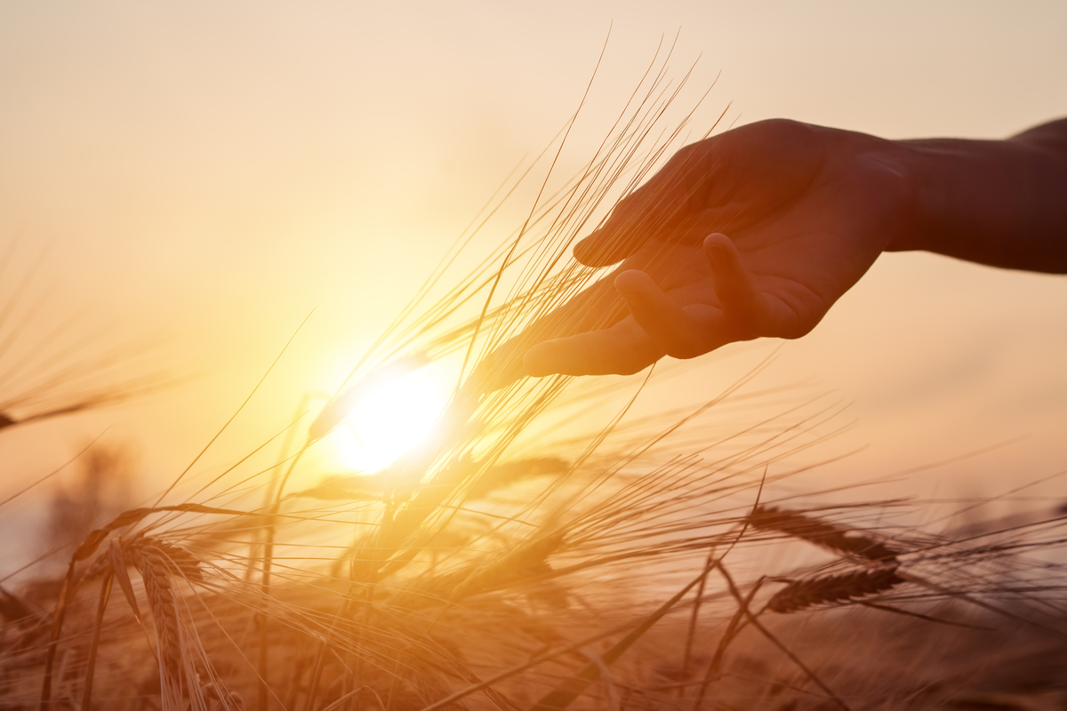 Alimentazione sana