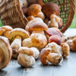 Funghi proprietà e benefici|Funghi e benessere