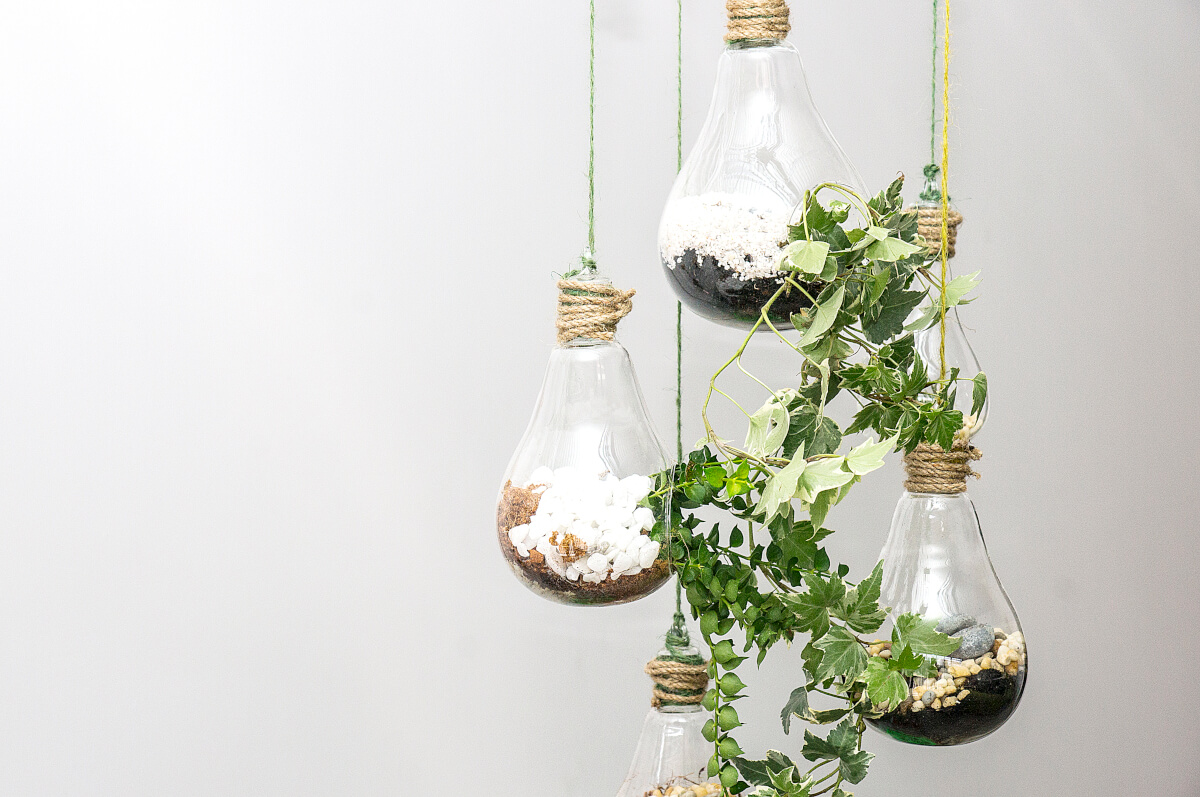 Come realizzare un terrarium perfetto in 5 mosse