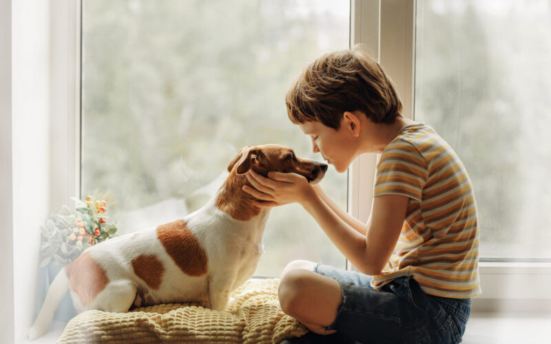 Cani e bambini|quanto costa avere un cane in casa