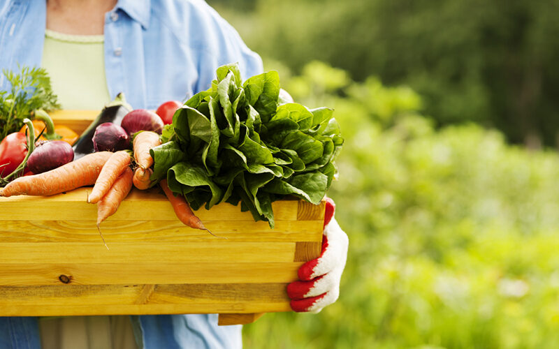 Frutta e verdura di stagione, cosa mangiare a marzo