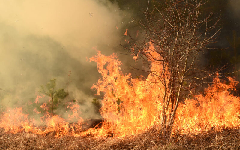 Africa in fiamme: oltre 10mila incendi in una settimana