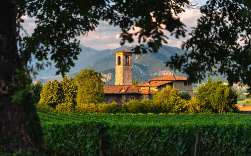 Festival Franciacorta in Cantina 2019: eventi e degustazioni