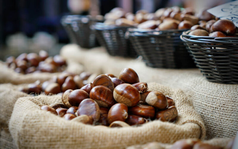 Raccolta delle castagne in Piemonte: dove andare?