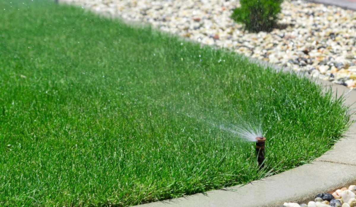 Lavori in giardino nel mese di agosto