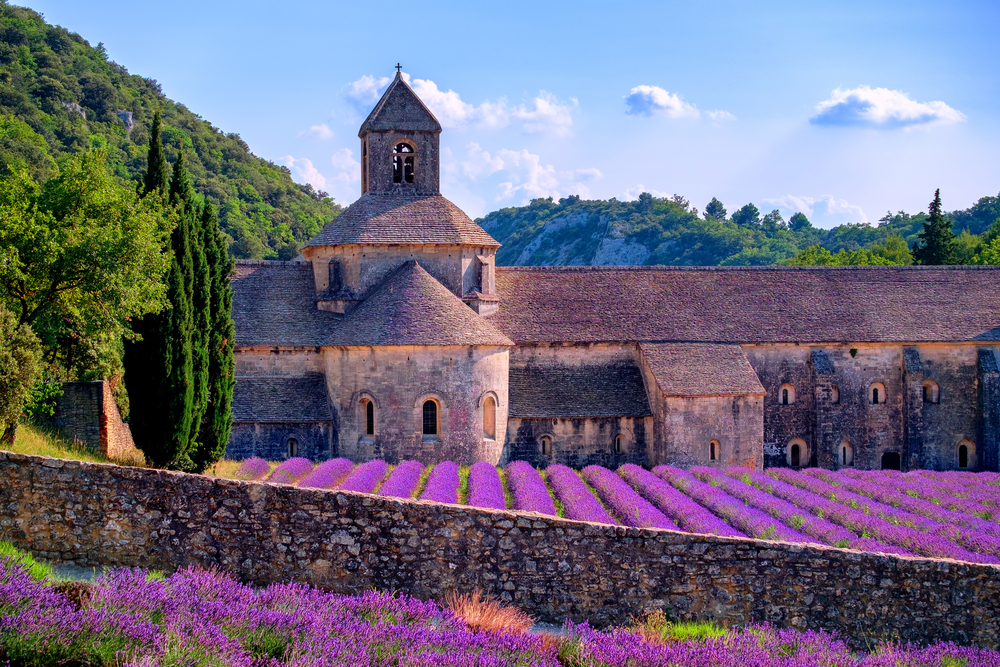 fioritura lavanda borghi provenza