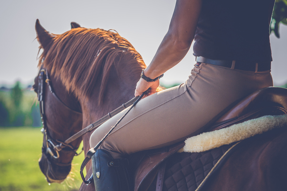 equitazione in autunno