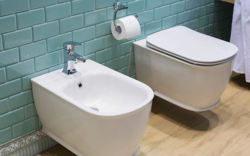 Bidet: quali paesi lo usano e quali no|Bidet: quali paesi lo usano e quali no|Bidet: quali paesi lo usano e quali no|Bidet: quali paesi lo usano e quali no|Bidet: quali paesi lo usano e quali no