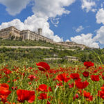 Calendimaggio Assisi festa di primavera programma|Calendimaggio Assisi festa di primavera programma