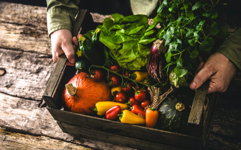 Frutta e verdura: cosa si raccoglie nel mese di agosto