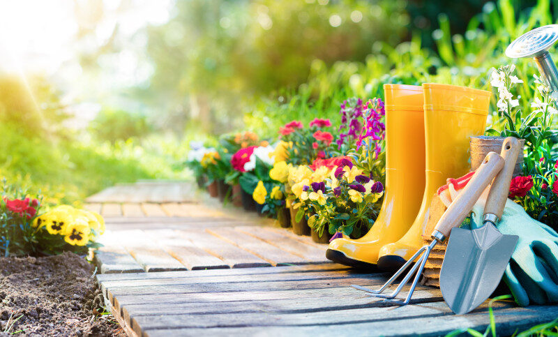 Lavori in giardino nel mese di marzo