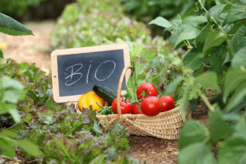 Perché mangiare biologico fa bene alla salute e all’ambiente?