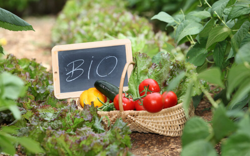 Perché mangiare biologico fa bene alla salute e all’ambiente?