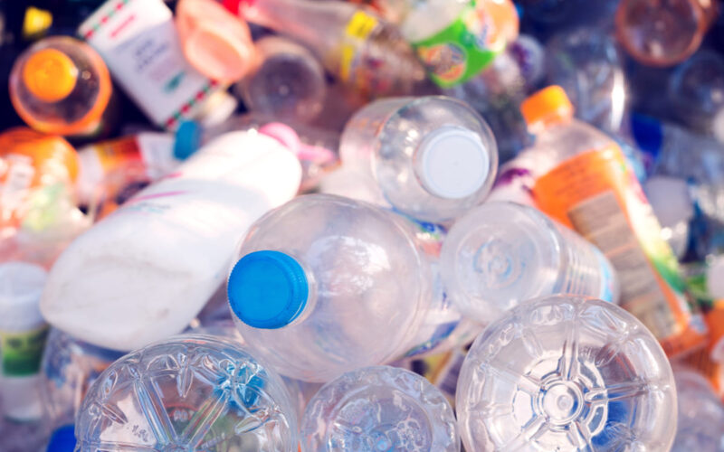 Inquinamento ambientale: ecco i vermi che mangiano plastica