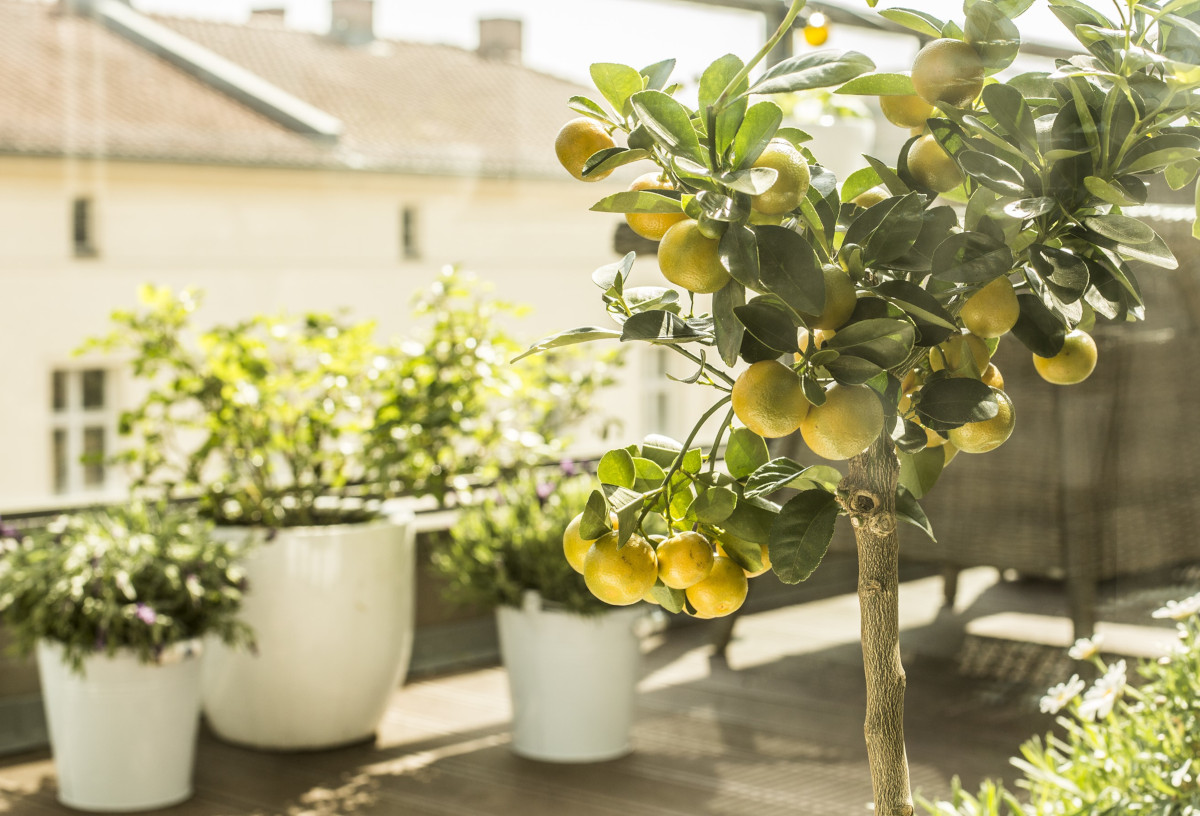 Tante idee per decorare un terrazzo estivo