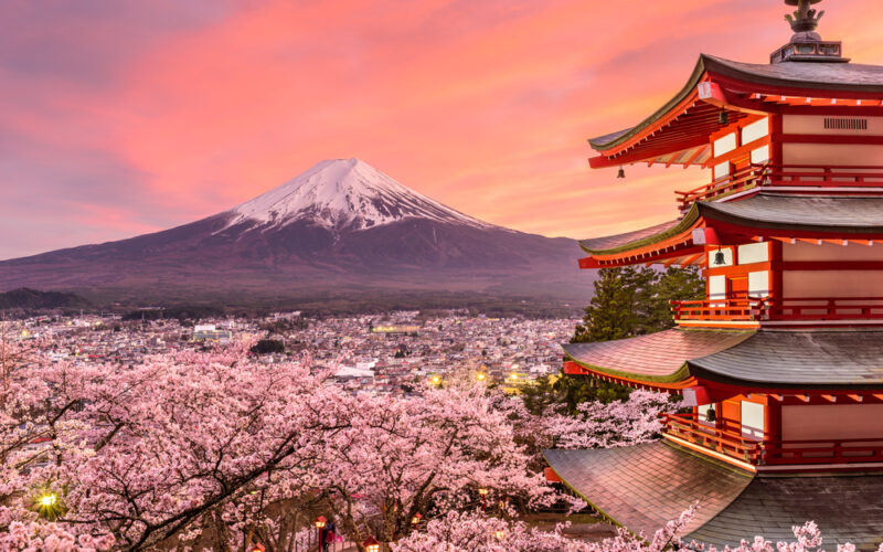 La leggenda di Sakura, il fiore che salva gli abitanti giapponesi