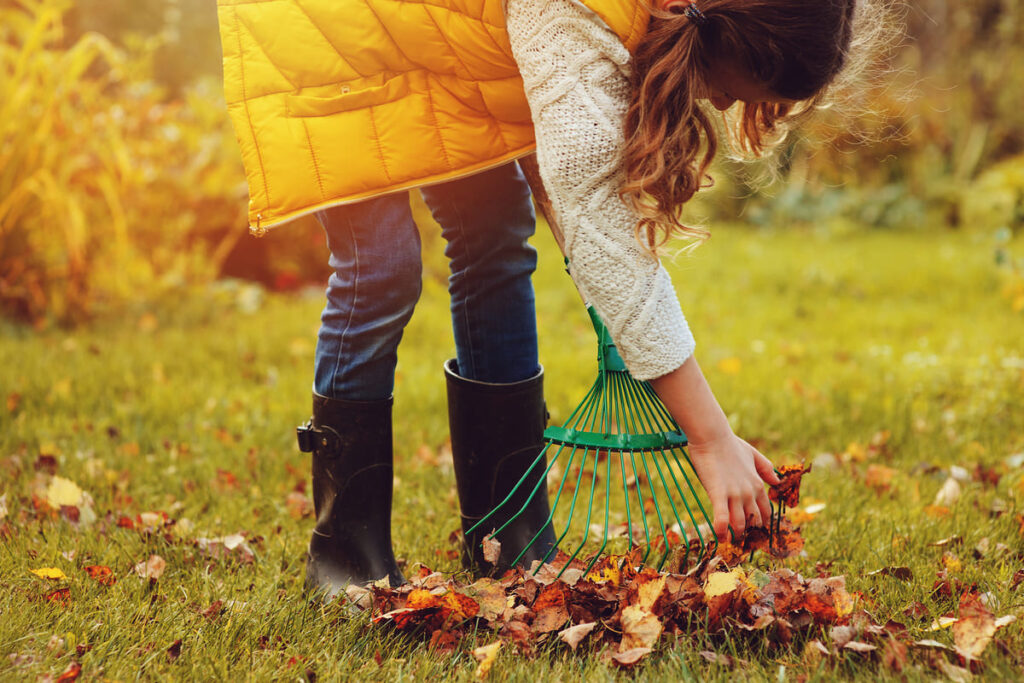 Manutenzione del giardino