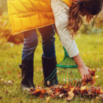 Lavori in giardino nel mese di novembre