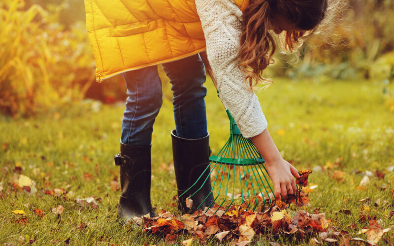 Lavori in giardino nel mese di novembre