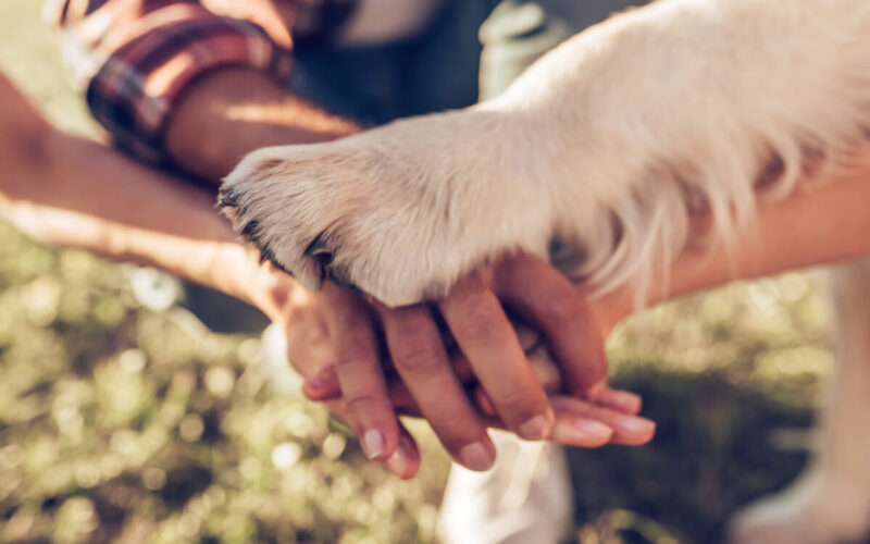 I cani migliorano lo sviluppo dei bambini