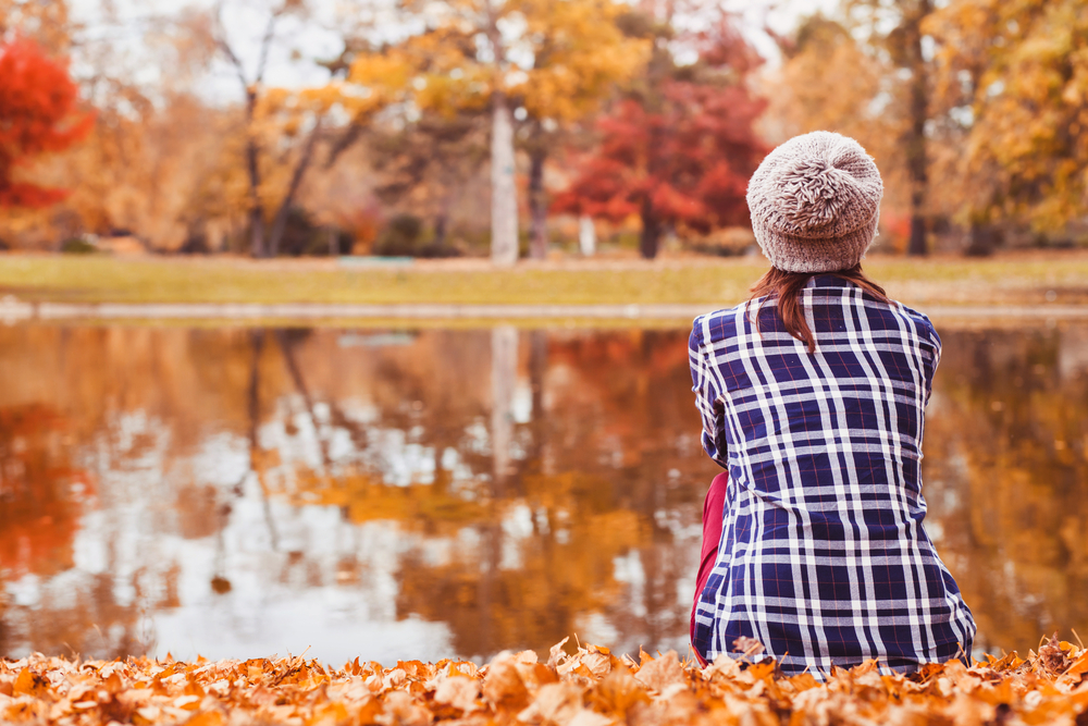 Autunno in natura: ecco quali sono i Boschi più belli d'Italia