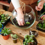 Come realizzare un terrarium perfetto in 5 mosse|Come realizzare un terrarium perfetto in 5 mosse|Come realizzare un terrarium perfetto in 5 mosse