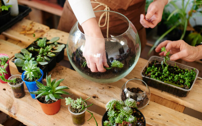 Come realizzare un terrarium perfetto