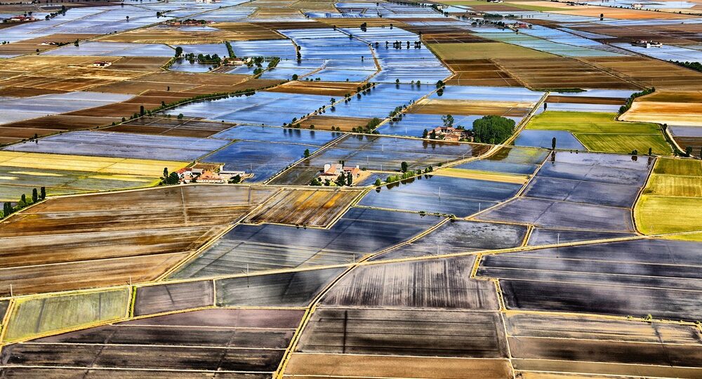 Lo specchio della terra: il mare a quadretti delle risaie a Vercelli||||||||Lo specchio della terra: il mare a quadretti delle risaie a Vercelli||Lo specchio della terra: il mare a quadretti delle risaie a Vercelli