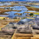 Lo specchio della terra: il mare a quadretti delle risaie a Vercelli||||||||Lo specchio della terra: il mare a quadretti delle risaie a Vercelli||Lo specchio della terra: il mare a quadretti delle risaie a Vercelli