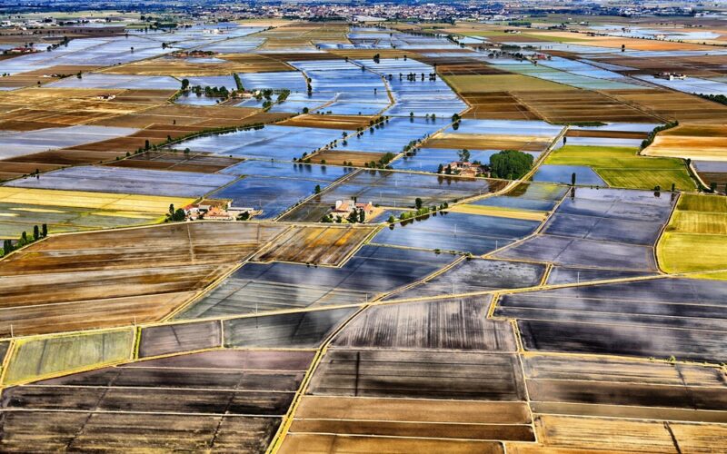 Lo specchio della terra: il mare a quadretti delle risaie a Vercelli