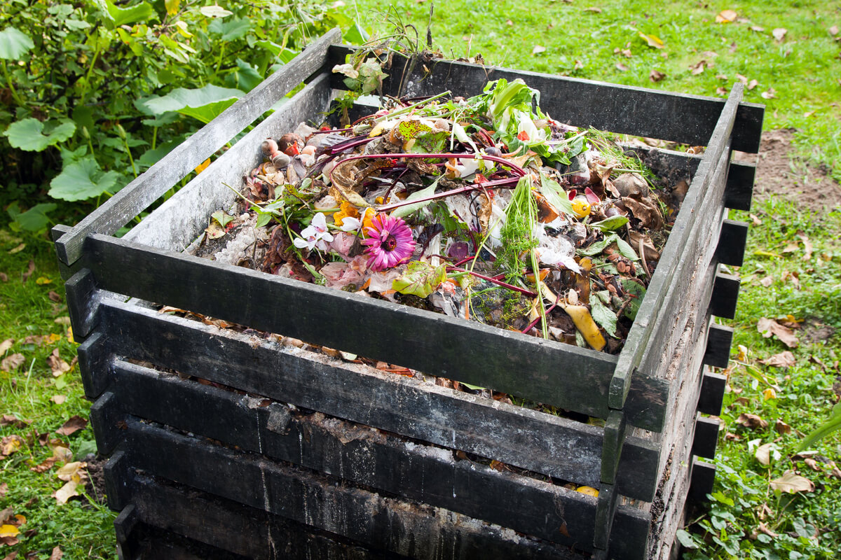 Come fare il compost in casa