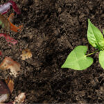 Come fare il compost in casa|Come fare il compost in casa