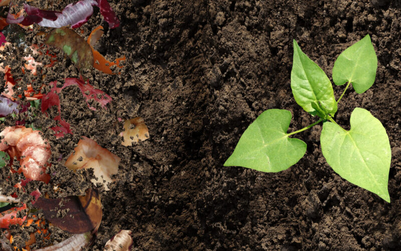 Come fare il compost in casa|Come fare il compost in casa