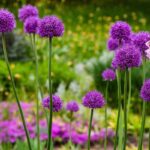 fiori e allergie|Un giardino fiorito tutto l’anno: piante e fiori da coltivare|Un giardino fiorito tutto l’anno: piante e fiori da coltivare