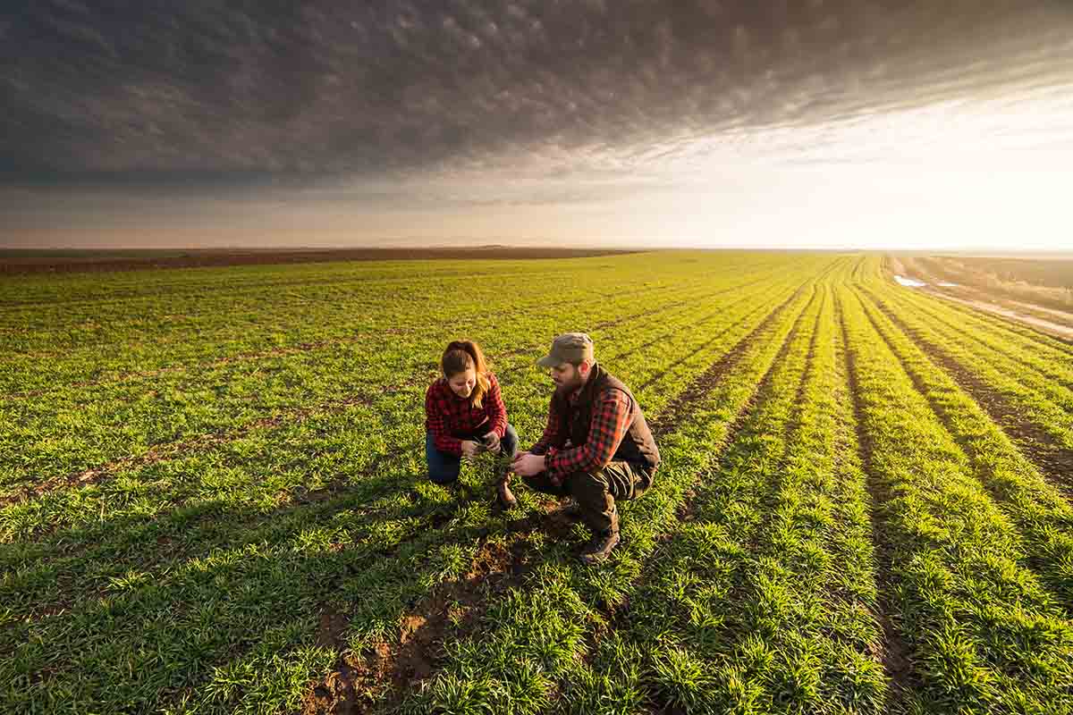 Aprire un’azienda agricola